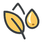 المنتجات الطبيعية